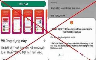 Truy cập “liên kết thuế" giả, một người ở Gia Lai mất hơn 1,28 tỉ đồng