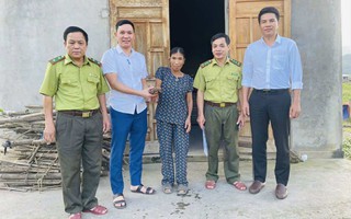 Vị "khách lạ" bò vào nhà khiến gia chủ giật mình, hóa ra là loài quý hiếm