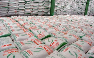 5 doanh nghiệp trúng đấu giá hạn ngạch nhập khẩu 100.000 tấn đường