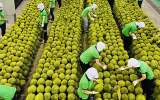 Trung Quốc ra quy định mới về nhập khẩu nông sản