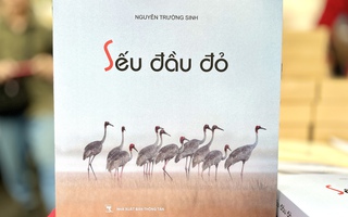 Hành trình 10 năm "mong đợi ngày sếu trở về"