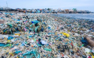 Cần sự vào cuộc mạnh mẽ