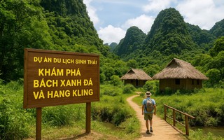 "Báu vật" hơn 500 tuổi ở Phong Nha - Kẻ Bàng sắp mở cửa đón khách