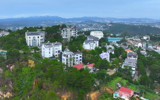 Làm rõ vụ mất 820 cây thông tại Khu du lịch Nam Hồ