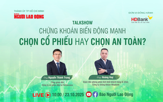 Chứng khoán biến động mạnh: Chọn cổ phiếu hay chọn an toàn?