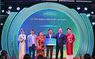 Ca sĩ Đức Phúc tham gia đấu giá cá tầm lớn nhất Lai Châu, bất ngờ kết quả