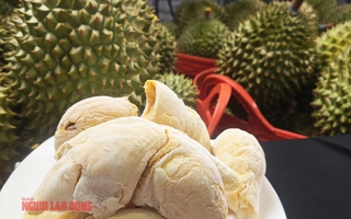 Giá sầu riêng hôm nay 24-10: Giá rẻ, nhiều nơi tập trung mua cấp đông