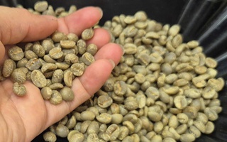 Giá cà phê hôm nay 24-10: Quá kịch tính