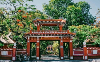 Vẻ đẹp của ngôi trường trăm tuổi có 8 thí sinh vào chung kết Đường lên đỉnh Olympia
