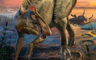 "Xác ướp" quái vật dài 12 m gây sốc ở Mỹ