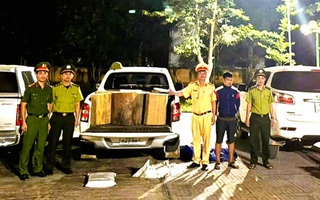 Công an Thanh Hóa bắt ô tô chở gỗ trái phép