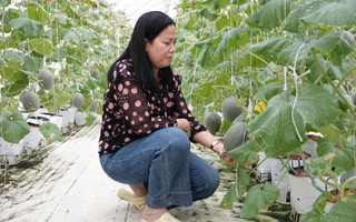 Truyền cảm hứng khởi nghiệp xanh