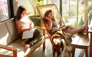 Khởi nghiệp với homestay không hề dễ dàng