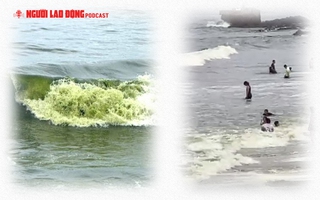 Rõ hiện tượng nước biển Vũng Tàu có màu xanh lá đang lan truyền trên mạng xã hội 