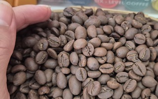 Giá cà phê hôm nay 27-10: Kỳ vọng Robusta trở lại mốc 120.000 đồng/kg