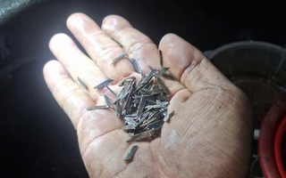 TP HCM: Đinh hình thoi xuất hiện trên đường Đỗ Mười