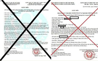 Thực hư việc được hoàn trả 50% chi phí khám chữa bệnh do ảnh hưởng bão YAGI?