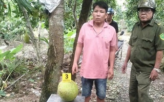 Vì sao người đàn ông bị khởi tố do trộm 2 trái mít ở Đồng Tháp?