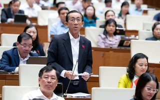 Đại biểu Trần Hoàng Ngân: Sớm trình gói tài chính khẩn cấp khắc phục hậu quả bão lũ