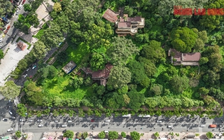 TP HCM: Công viên tại số 1 Lý Thái Tổ phục vụ Tết Nguyên đán 2026