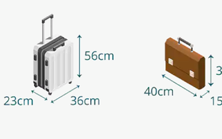 Vietnam Airlines sẽ thu phí hành lý xách tay quá cước từ ngày 3-11