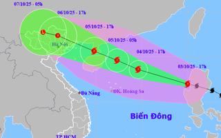 Bão Matmo vào Biển Đông, đổ bộ vào khu vực nào ở nước ta?