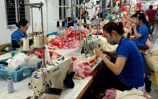 Thúc đẩy đổi mới mô hình tăng trưởng