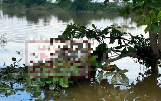 Phát hiện thi thể mắc trên cành cây giữa ruộng