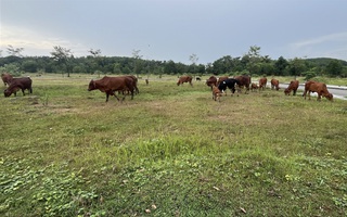 Cận cảnh dự án khu dân cư bị kết luận sai phạm ở Đồng Nai