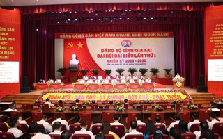 Ông Thái Thanh Bình tiếp tục giữ chức Chủ nhiệm Ủy ban Kiểm tra Tỉnh ủy Gia Lai