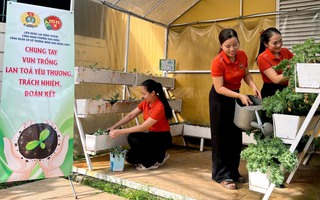 Ra mắt loạt công trình Vườn cây Công đoàn, Thành phố muôn sắc hoa