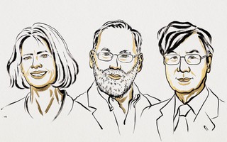 Nóng: Nobel Y sinh 2025 vinh danh 3 nhà miễn dịch học Mỹ - Nhật Bản