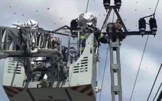 Bị tổ ong vò vẽ trên trụ điện cao thế tấn công, nhiều người dân bỏ chạy tán loạn