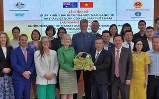 Trái bưởi của Việt Nam chính thức có "visa" vào Úc
