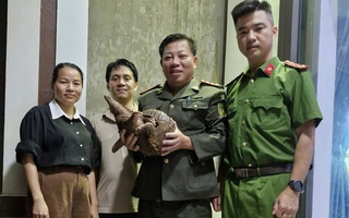 Người dân bắt được con vật quý hiếm, nặng gần 4 kg