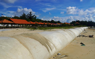 Giữ đất ven biển