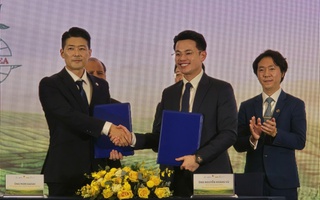 Trưng bày 1.000 cây trà trên 100 tuổi tại Lễ hội Trà Quốc tế 2025