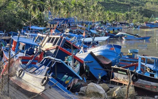 Thủ phủ tôm hùm "bay" hơn 20 tỉ đồng chỉ 1 đêm bão số 13