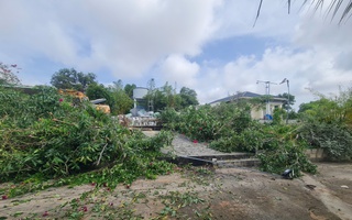 Đang cưỡng chế thu hồi hơn 66.000 m² đất lấn chiếm tại Đồi Cát Bay Mũi Né