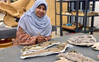 Quái vật 80 triệu tuổi "trỗi dậy" ở  Ai Cập