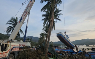 Hối hả níu mùa cá cuối năm