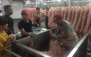Giá heo cuối năm khó tăng đột biến