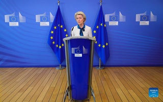 Điểm nóng xung đột ngày 15-11: EU đổ tiền, Ukraine phanh phui "âm mưu gây bất ổn"