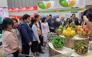 Nâng cao năng lực cạnh tranh của ngành thực phẩm