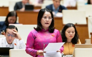 Đề nghị hỗ trợ viên chức khi mất việc do sắp xếp