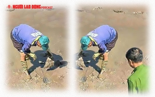 Bất ngờ phát hiện bộ hài cốt bí ẩn