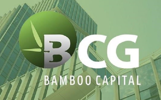 Bamboo Capital sẽ tổ chức đại hội cổ đông bất thường, dự kiến miễn nhiệm hàng loạt lãnh đạo