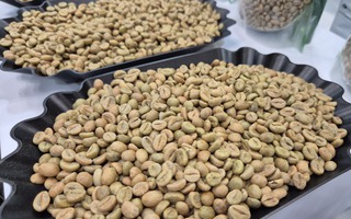 Giá cà phê hôm nay 15 -11: Bốc hơi theo thuế Mỹ