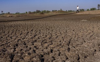 Nông nghiệp toàn cầu thiệt hại nặng vì thiên tai