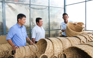 Đưa sản phẩm mỹ nghệ từ cây lục bình xuất ngoại